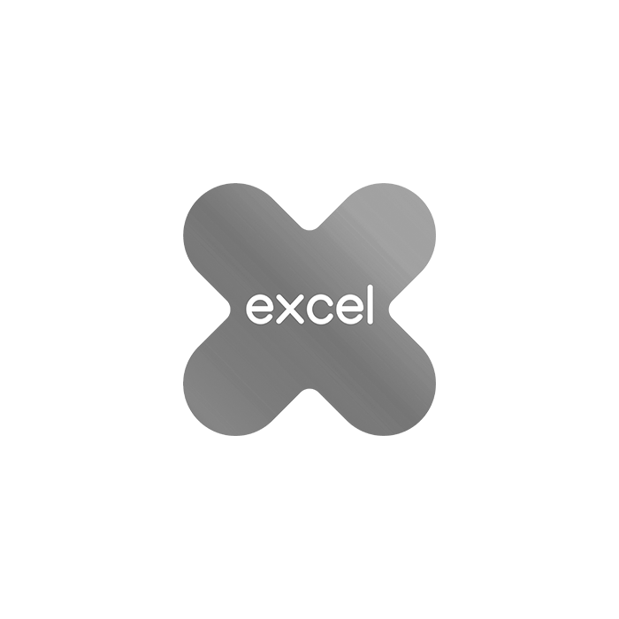 Excel Logo - Grayscale