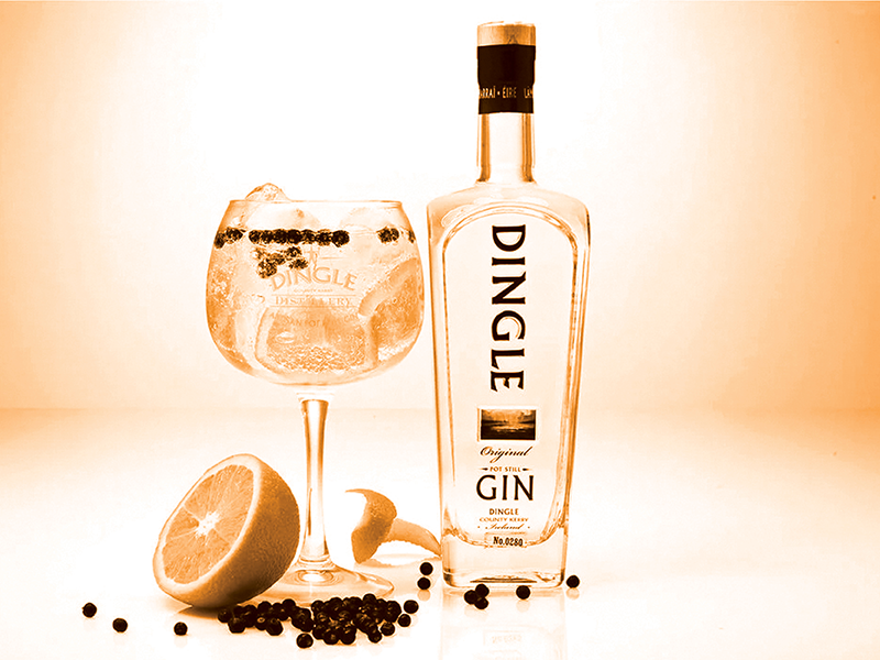 BOTYA 2022 Category: Dingle Gin People Choice